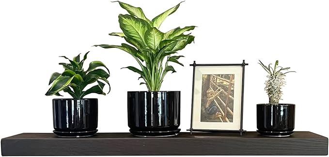 joelsantiques 36 Inch Wooden Floating Shelves for Wall - 36x8x2 in - Made of Natural Wood - Heavy Duty Rustic Wall Shelves - Made in USA - Perfect for Living Room, Kitchen - Mocha