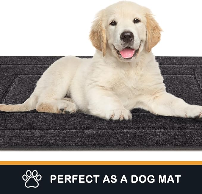 PURRUGS Dirt Trapping Door Mat 24" x 35.5", Non-Slip/Skid Machine Washable Entryway Rug, Dog Doormat, Super Absorbent Welcome Mat for Muddy Wet Shoes and Paws, Charcoal