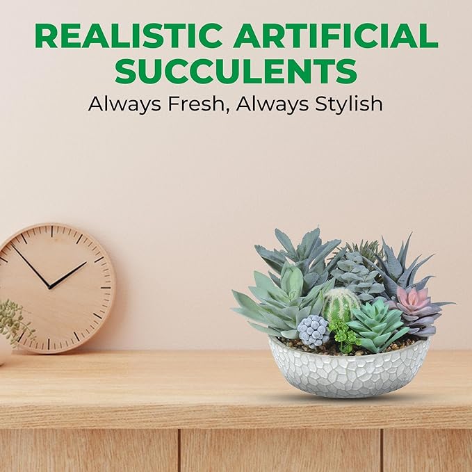 Premium Assorted Artificial Succulent Collection - Large Real Touch Artificial Cactus, Aloe Vera & Succulent Plants Artificial with Pots for Home Office Indoor (Artificial Glass - Pot)