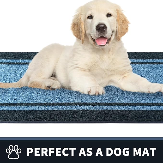 PURRUGS Dirt Trapping Door Mat 34" x 60", Non-Slip/Skid Machine Washable Entryway Rug, Shoes Scraper, Area Rug, Super Absorbent Welcome Mat for Muddy Wet Shoes and Paws, Light Blue & Navy