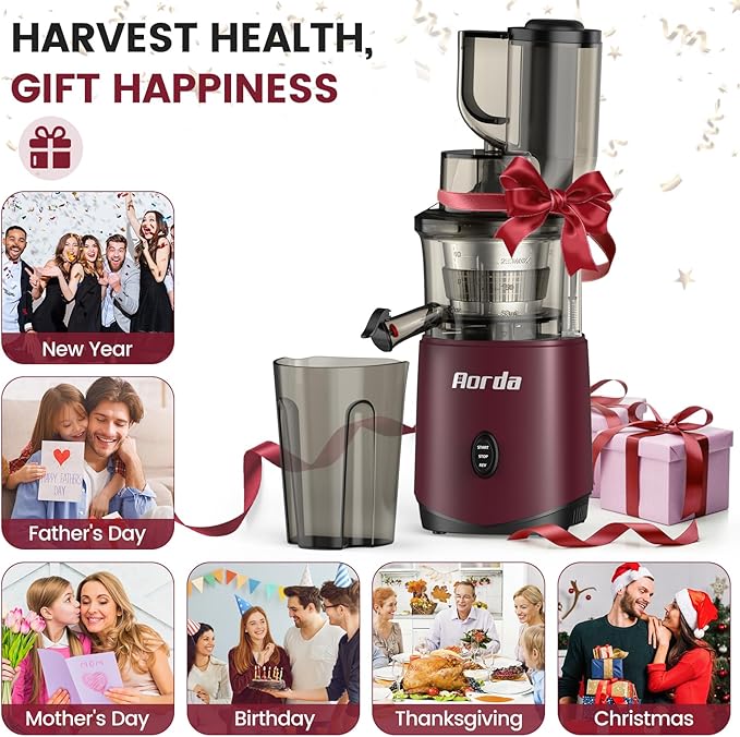 Masticating Cold Press Juicer Machines: 200W Pure Slow Juicer With Quiet Motor For Vegetable And Fruit Easy To Clean, Red