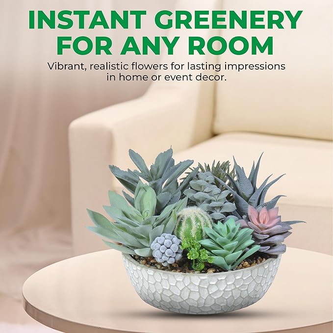Premium Assorted Artificial Succulent Collection - Large Real Touch Artificial Cactus, Aloe Vera & Succulent Plants Artificial with Pots for Home Office Indoor (Artificial Glass - Pot)