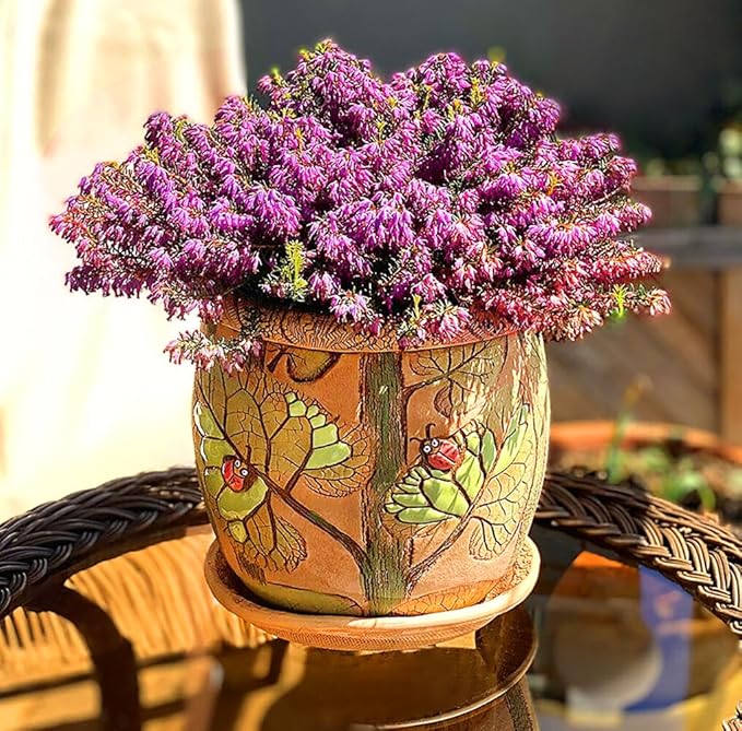 Ceramic Pot with Drainage Hole and Saucer, Plant Pots, Modern Decorative Planters for House Plants Indoor Flowers Plants, Cute Flower Pot - Gifts (Ladybugs (1.6 L))