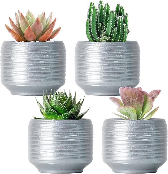 Mini Succulent Planter Set – 3.7 Inch Ceramic Pots with Drainage for Indoor Plants, Small Decorative Flower Pots for Cactus and House Plants, Set of 4