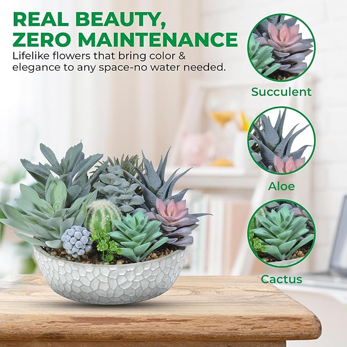 Premium Assorted Artificial Succulent Collection - Large Real Touch Artificial Cactus, Aloe Vera & Succulent Plants Artificial with Pots for Home Office Indoor (Artificial Glass - Pot)