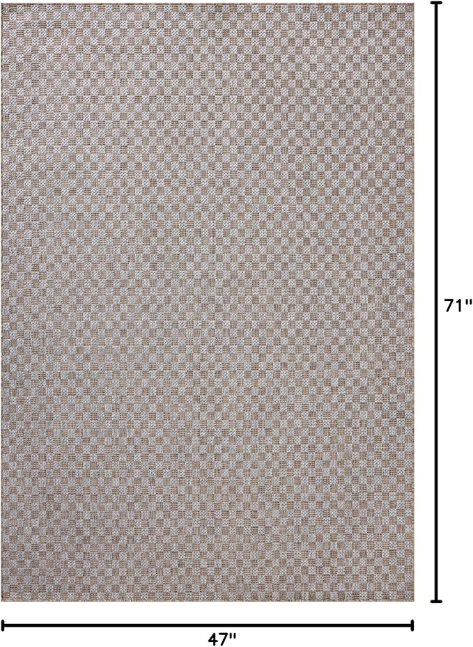 Loloi Amber Lewis Topanga Collection TOP-02 Natural/Silver 3'-11" x 5'-11" Indoor/Outdoor Accent Rug